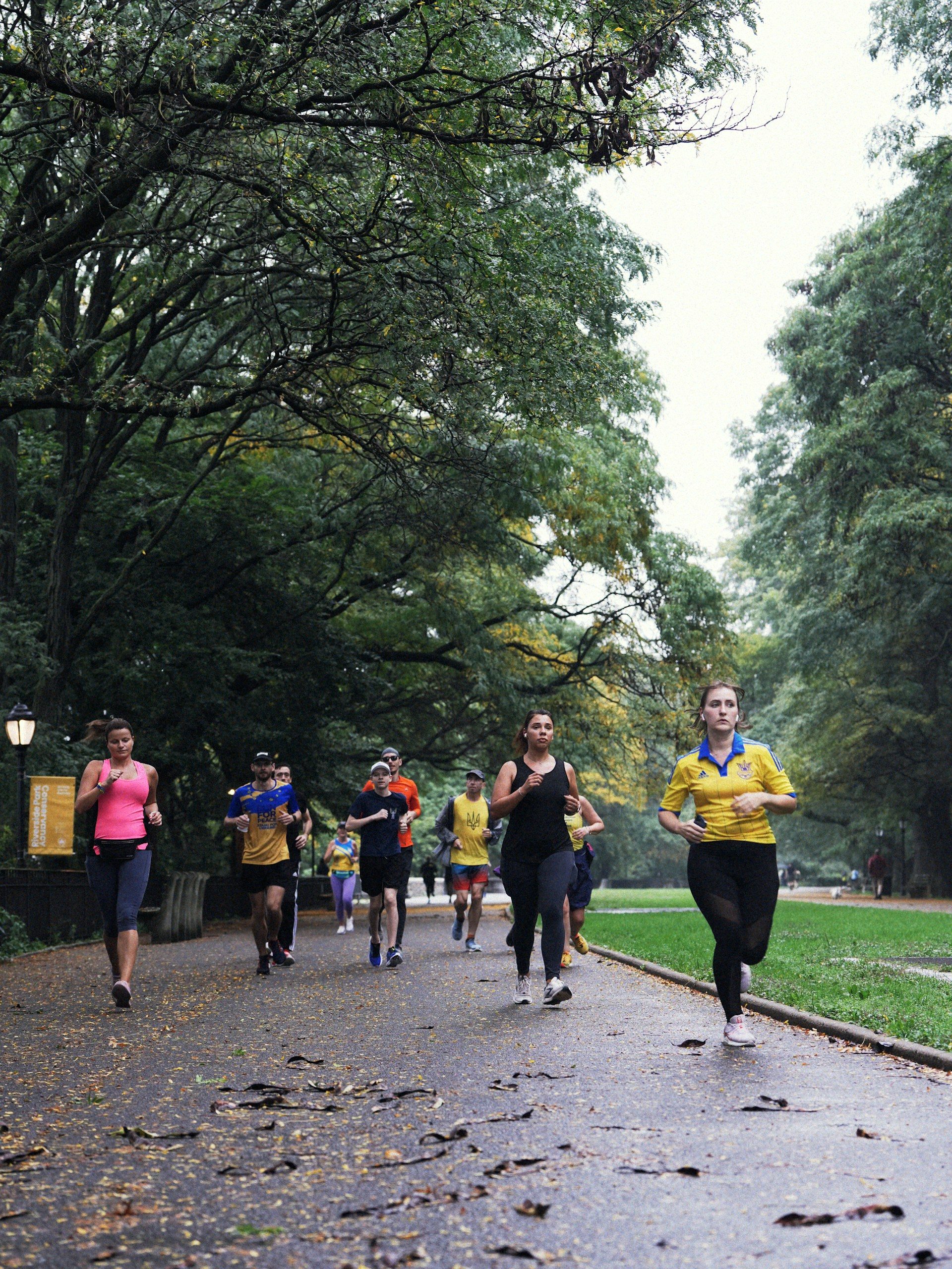 A group jogging along a tree-lined park path